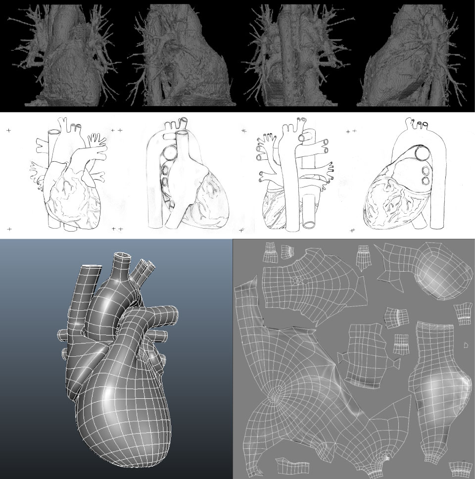 3D Heart Model - Maya